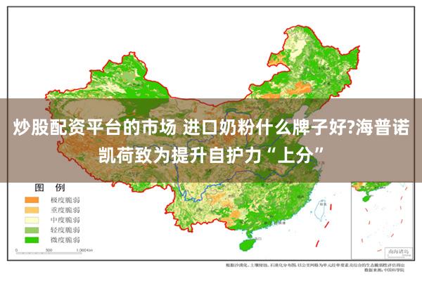 炒股配资平台的市场 进口奶粉什么牌子好?海普诺凯荷致为提升自护力“上分”