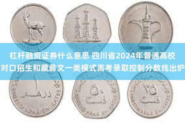 杠杆融资证券什么意思 四川省2024年普通高校对口招生和藏彝文一类模式高考录取控制分数线出炉