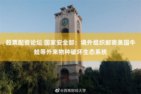 股票配资论坛 国家安全部：境外组织邮寄美国牛蛙等外来物种破坏生态系统