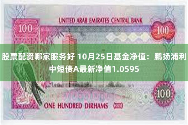 股票配资哪家服务好 10月25日基金净值：鹏扬浦利中短债A最新净值1.0595