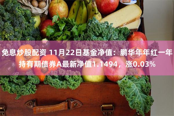 免息炒股配资 11月22日基金净值：鹏华年年红一年持有期债券A最新净值1.1494，涨0.03%