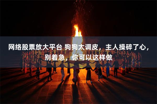 网络股票放大平台 狗狗太调皮，主人操碎了心，别着急，你可以这样做