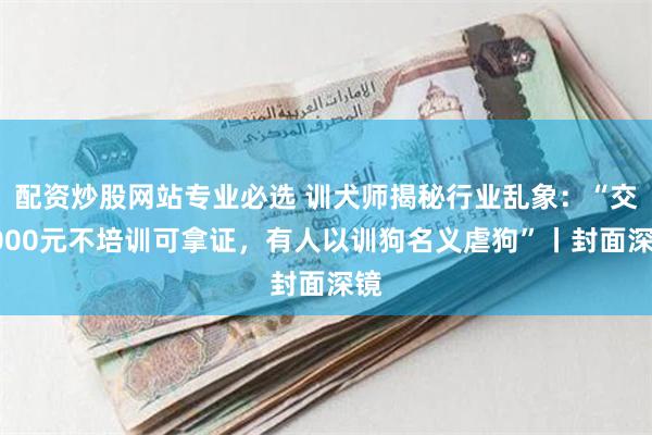 配资炒股网站专业必选 训犬师揭秘行业乱象：“交2000元不培训可拿证，有人以训狗名义虐狗”丨封面深镜