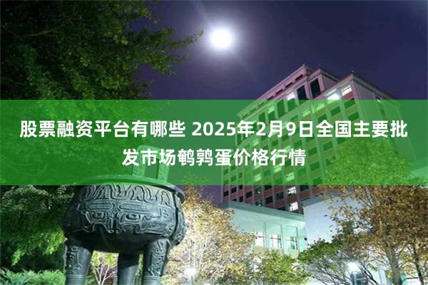 股票融资平台有哪些 2025年2月9日全国主要批发市场鹌鹑蛋价格行情