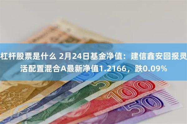 杠杆股票是什么 2月24日基金净值：建信鑫安回报灵活配置混合A最新净值1.2166，跌0.09%