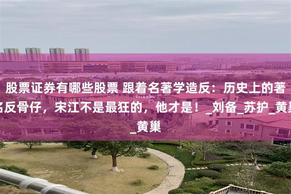 股票证券有哪些股票 跟着名著学造反：历史上的著名反骨仔，宋江不是最狂的，他才是！_刘备_苏护_黄巢